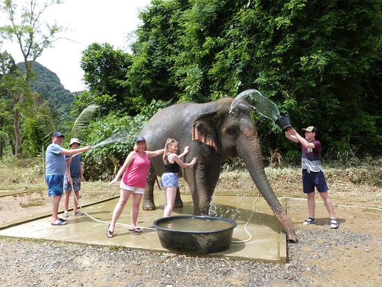 Khao Sok: Tam Gün Bambu Raftingi ve Fil Banyosu
